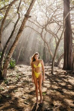 Gisele Top - Tropicale -Sunreef Bikinis Shop 240118 skatie 10183 d98537e9 fb31 42ad ada0 947b0ab96cf2