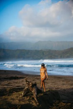 Maddie Top - Radical -Sunreef Bikinis Shop 240118 skatie 6156 4012a01a 0c4c 4fd0 9bec 20e3e17bd595