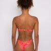 Suzanne Bottom - Surfside -Sunreef Bikinis Shop SKATIE Surfside 6 76722f0f f63b 46bd 963a 1048de9fdd20