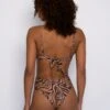 Melly Bottom - Tigre -Sunreef Bikinis Shop SKATIE Tigre 37 d8ae60c0 e37d 44a2 80d3 8acf9be69ef8